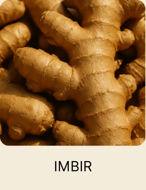 Korzeń imbiru